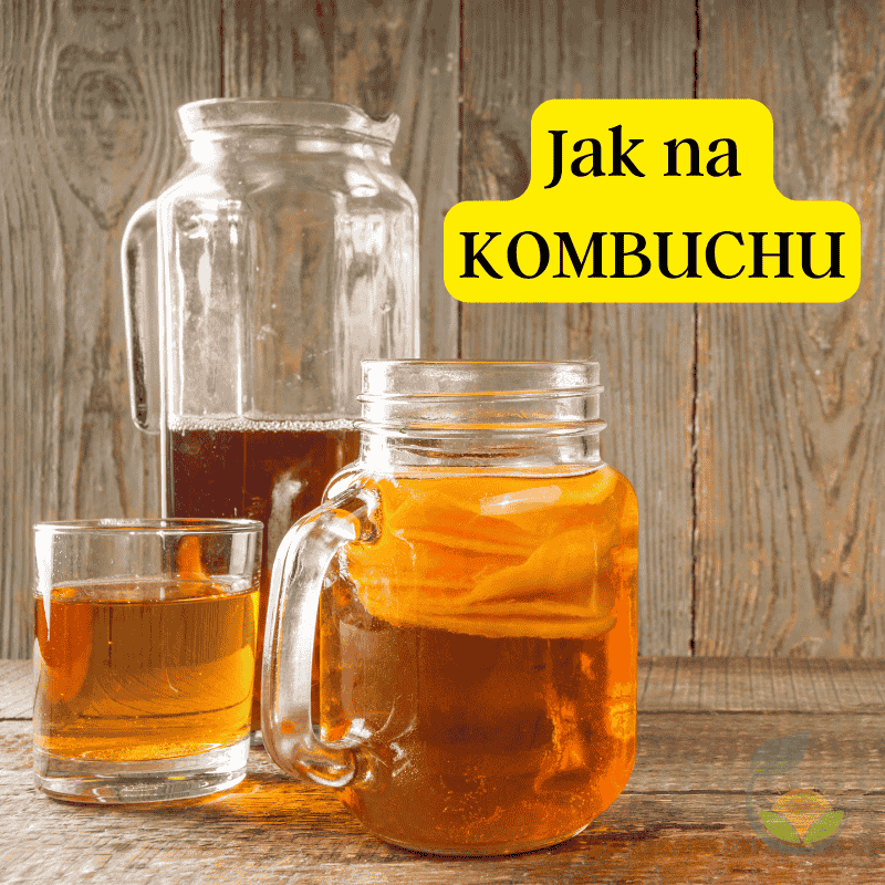 Jak vyrobit domácí kombuchu